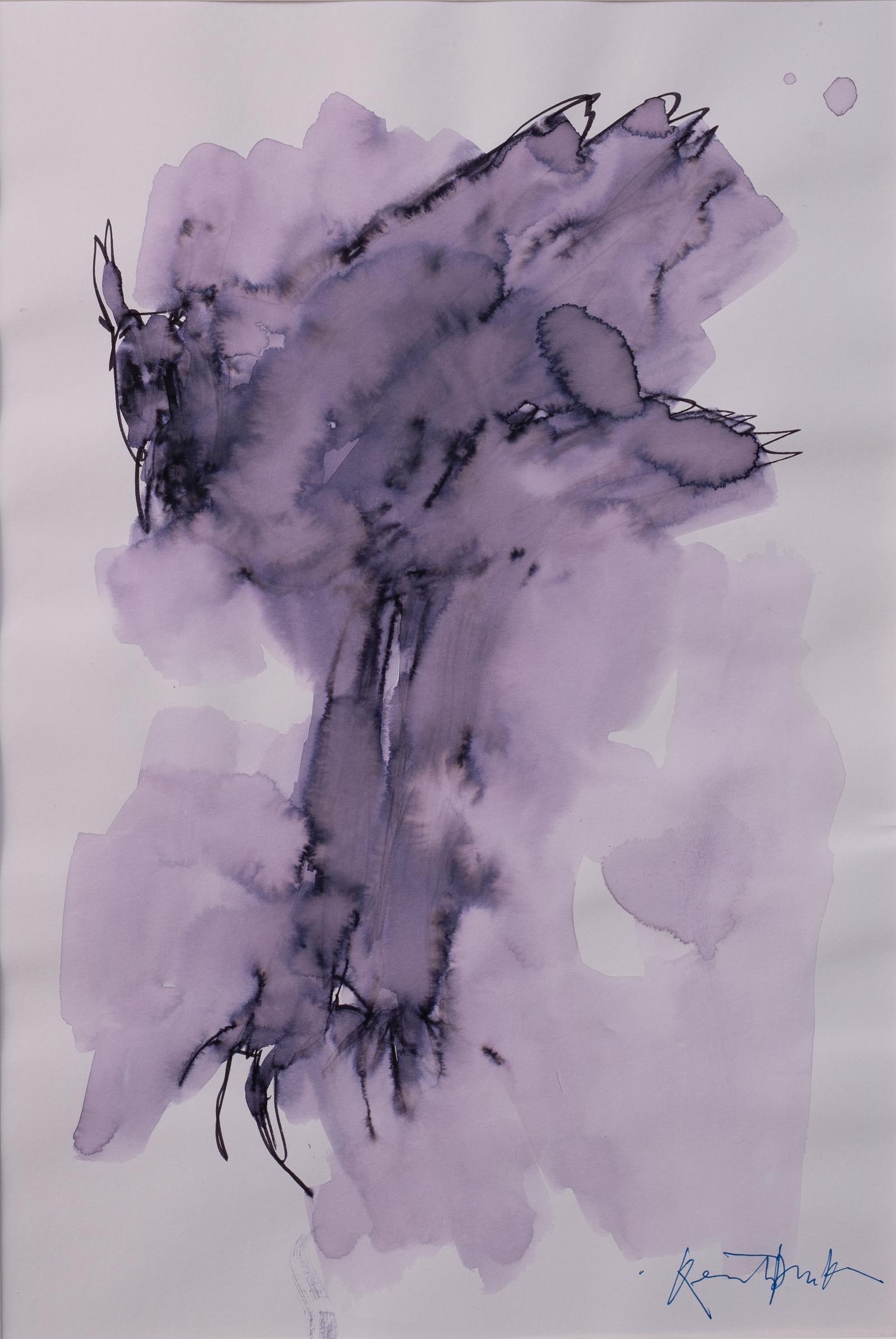 Nature After Dark Met o.a. Quentin Blake, Armando en James Aldridge